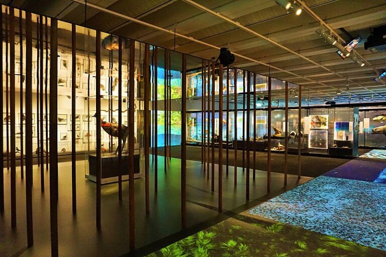 Queensland Museum