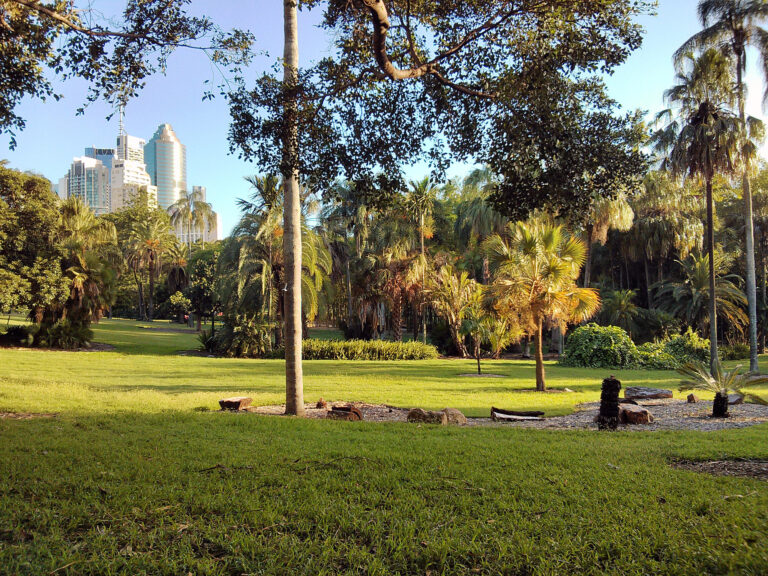 Brisbane Botanic Gardens